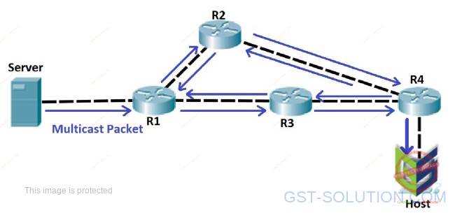 Multicast La Gi Protocol Independent Multicast