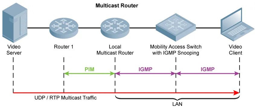 Multicast La Gi Pim